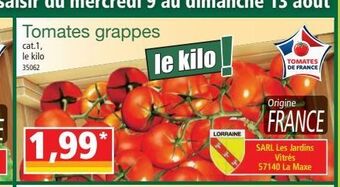 Norma Tomates grappes offre