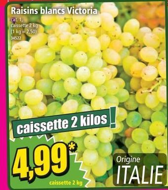 Norma Raisins blancs victoria offre