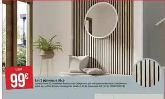 Bricorama Lot 2 panneaux déco offre