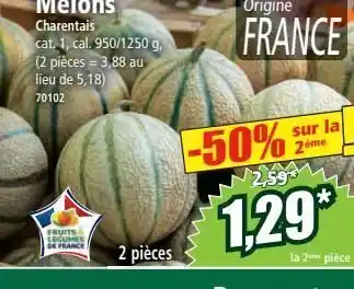Norma Melon offre