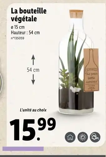 Lidl La bouteille végétale offre