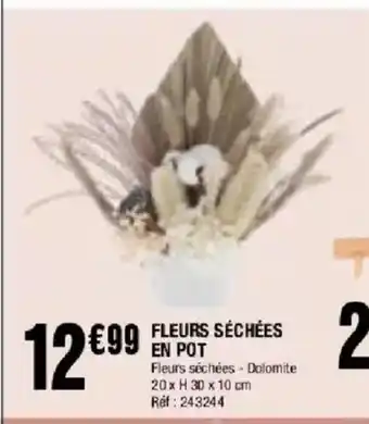 La Foir'Fouille Fleurs séchées en pot offre