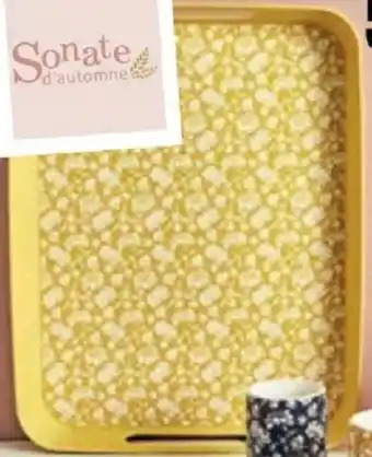 La Foir'Fouille Plateau fleurs offre