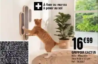 La Foir'Fouille Griffoir cactus offre