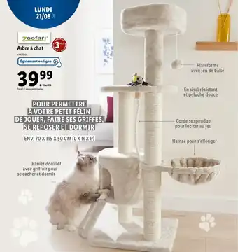 Lidl Arbre à chat offre