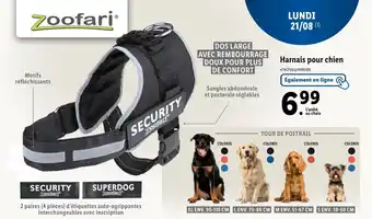 Harnais pour chien