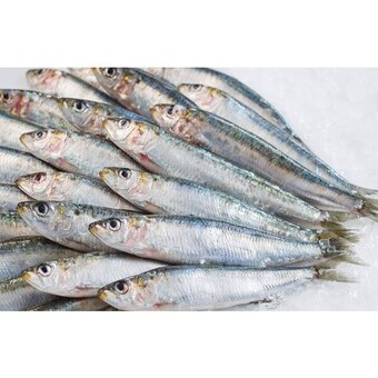 Carrefour Sardine offre