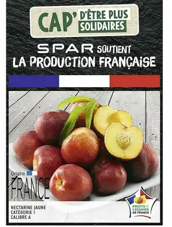 Nectarine Jaune