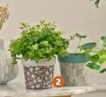 Jardiland Cache-Pot "Imprimè Fleurs" offre