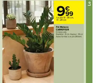 Carrefour Market Pot Malacca Carrefour offre
