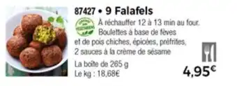 Thiriet 9 Falafels offre