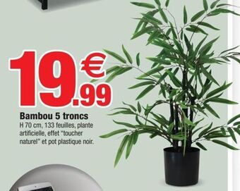Bazarland Bambou 5 troncs offre