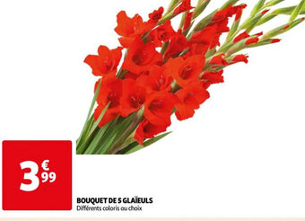 Auchan BOUQUET DE 5 GLAÏEULS offre