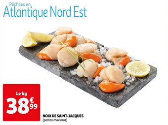 NOIX DE SAINT-JACQUES