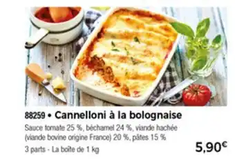Cannelloni à La Bolognaise