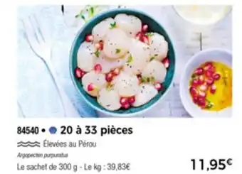 Thiriet Sans Corail offre