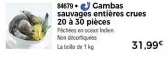 Gambas Sauvages Entières Crues 20 à 30 Pièces