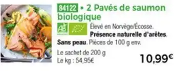 Thiriet 2 Pavés De Sauomon Biologique offre