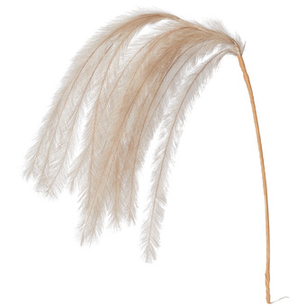 Action Plume lumineuse offre