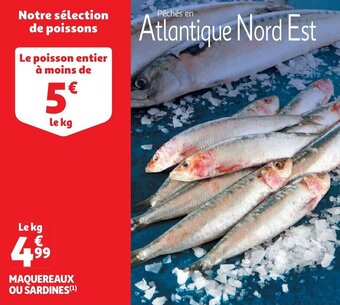 Auchan MAQUEREAUX OU SARDINES(¹) offre