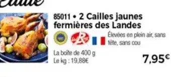 Thiriet 2 Cailles Jaunes Fermières Des Landes offre