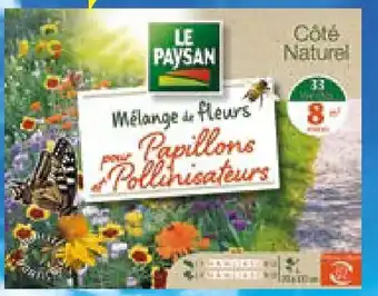 Bi1 Mélange De Fleurs Pour Papillons offre