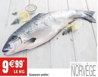 Saumon entier