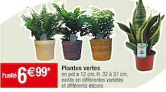 Cora x Carrefour Plantes vertes offre