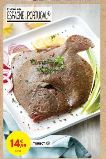 TURBOT