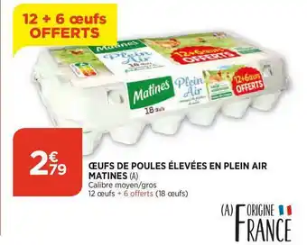Oeufs De Poules élevées En Plein Air Matines