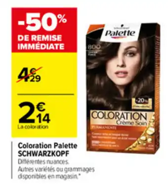 Carrefour Market Coloration Palette offre