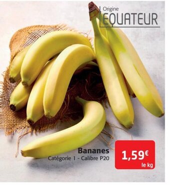Bananes Catégorie 1 - Calibre P20