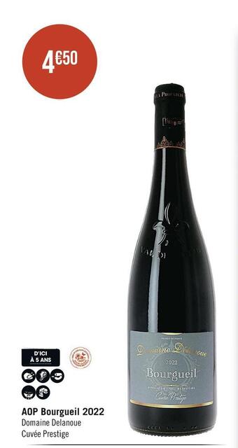 Domaine delanoue aop bourgueil 2022