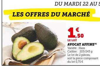 U Express Avocat affine offre