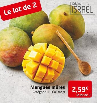 Colruyt Mangues mûres offre