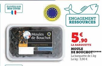 Hyper U Moule de bouchot offre