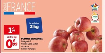 POMMES BICOLORES