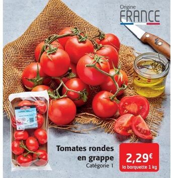 Tomates rondes en grappe
