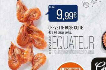 Match Crevette rose cuite offre