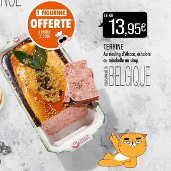 Match Terrine au riesling d'alsace, échalote ou mirabelle au sirop offre