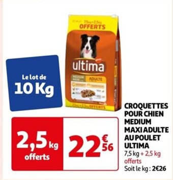 Auchan CROQUETTES POUR CHIEN MEDIUM MAXI ADULTE AU POULET offre