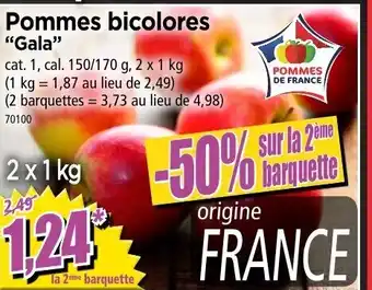 Norma Pommes bicolores "gala" offre