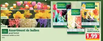 Norma Assortiment de bulbes offre
