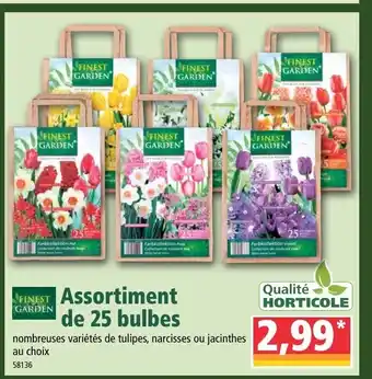 Norma Assortiment de 25 bulbes offre