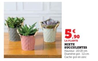 Super U MIXTE SUCCULENTES offre