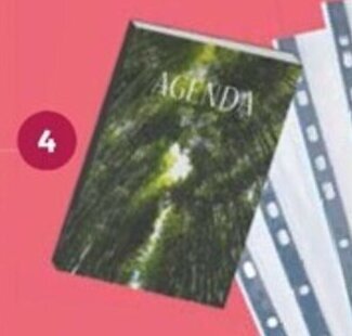 Auchan AGENDA LYCEEN FANTAISIE offre