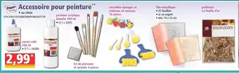 Norma Accessoire pour peinture offre