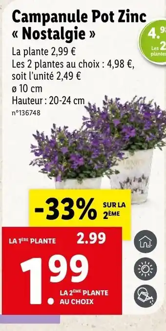 Lidl Campanule Pot Zinc offre