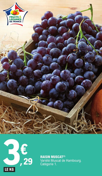 RAISIN MUSCAT(¹)