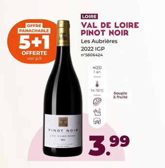 VAL DE LOIRE PINOT NOIR